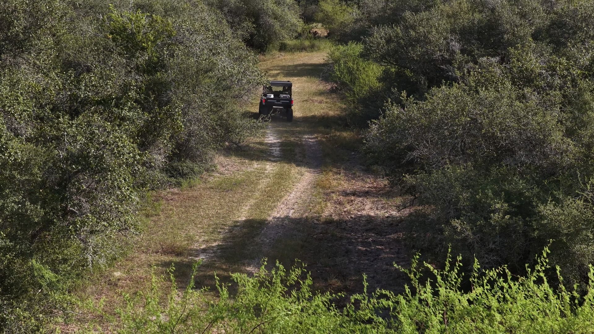 251 Old Goliad Road Refugio, TX 78377 - Photo 12 of 40 A rustic dirt path winds through dense native brush and mature trees.