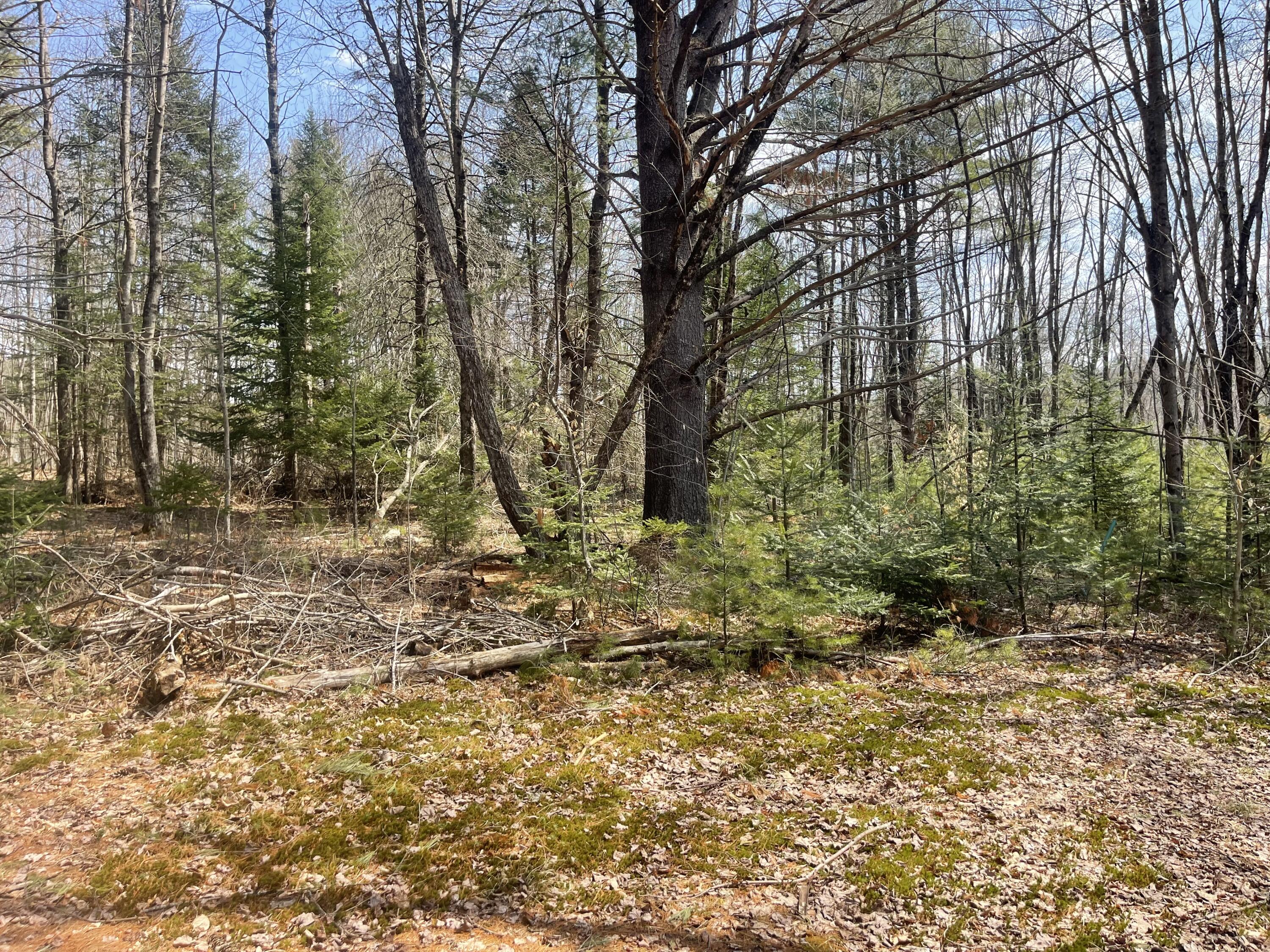 286 Pease Hill Road Anson, ME 04911 - Photo 5 of 37 7233FD13-3941-4538-B9A2-F2BE3C720007