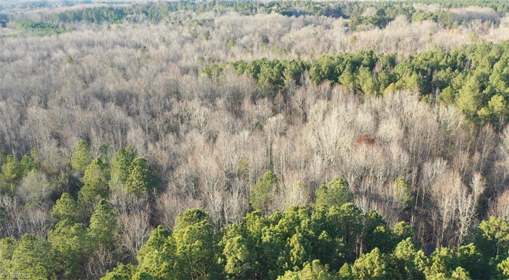0 Farmstead Road Seagrove, NC 27341 - Photo 13 of 35