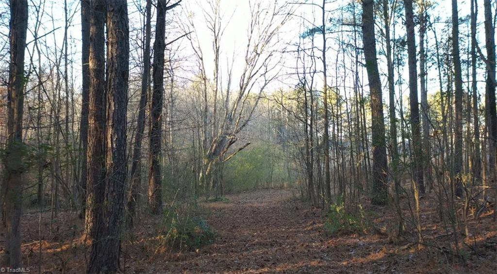 0 Farmstead Road Seagrove, NC 27341 - Photo 19 of 35