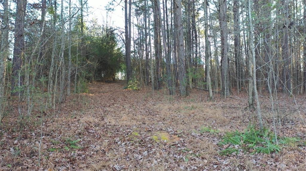 0 Farmstead Road Seagrove, NC 27341 - Photo 20 of 35