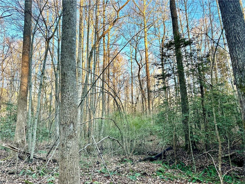 0 Farmstead Road Seagrove, NC 27341 - Photo 21 of 35