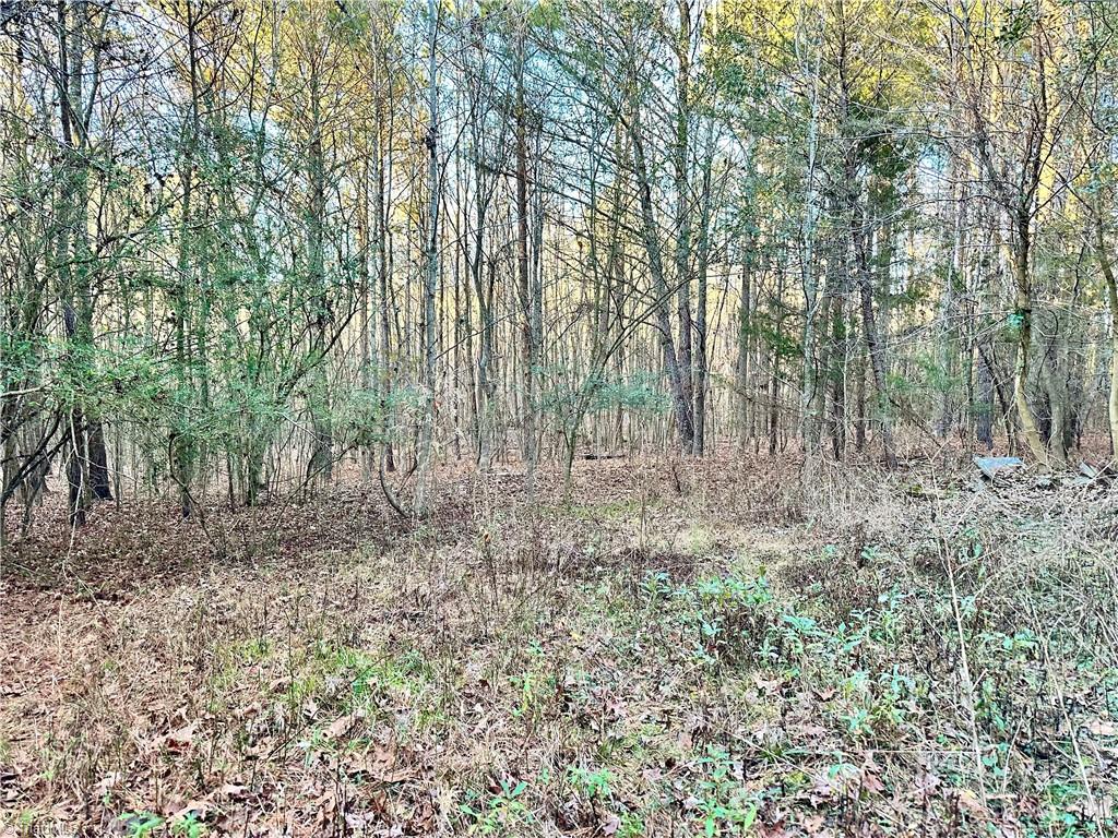 0 Farmstead Road Seagrove, NC 27341 - Photo 22 of 35