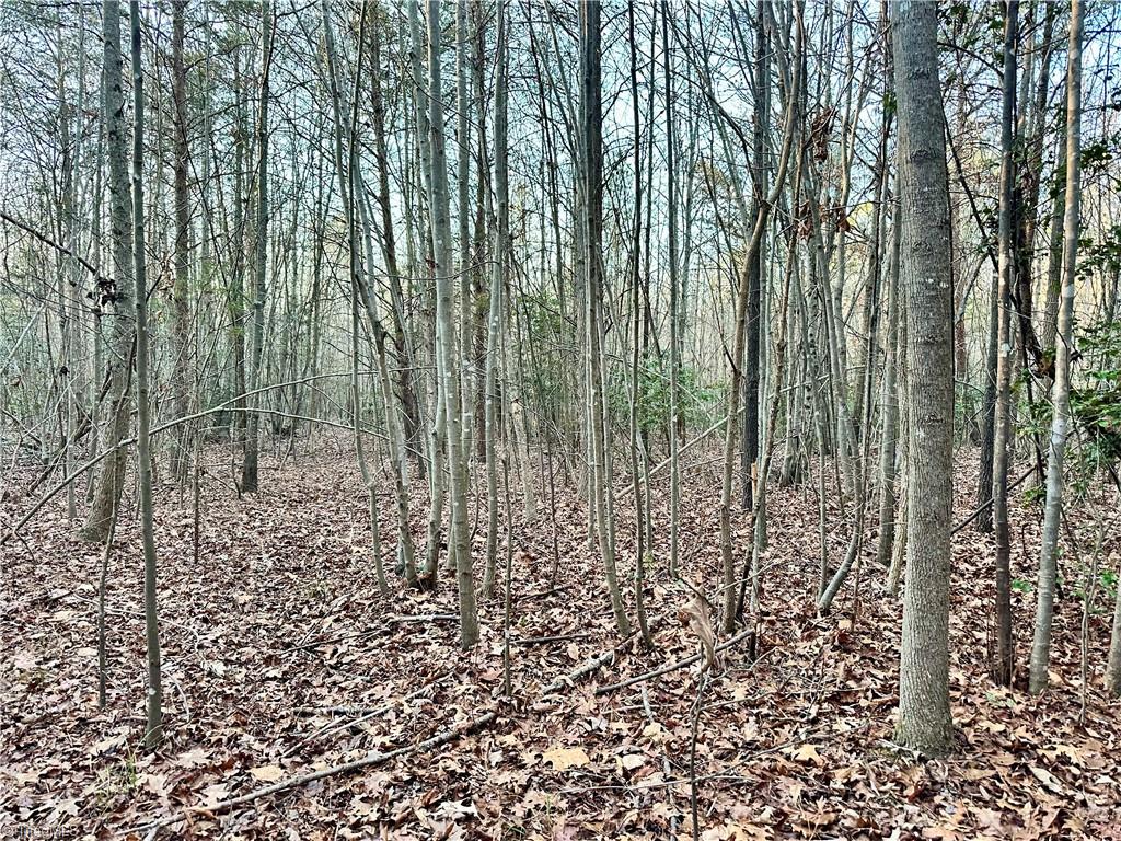 0 Farmstead Road Seagrove, NC 27341 - Photo 24 of 35
