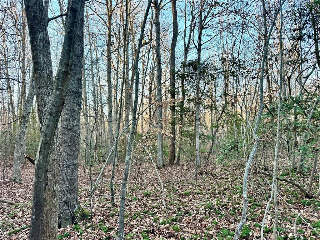 0 Farmstead Road Seagrove, NC 27341 - Photo 26 of 35