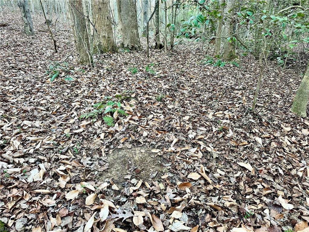 0 Farmstead Road Seagrove, NC 27341 - Photo 29 of 35