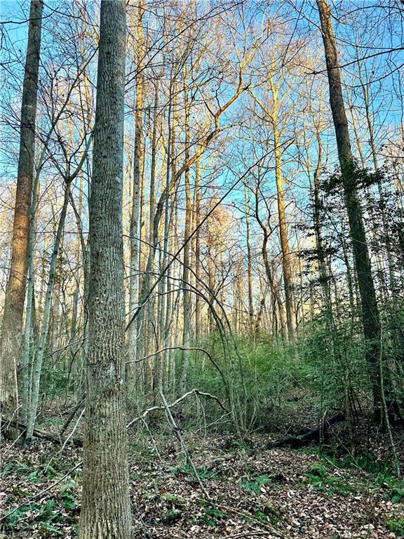 0 Farmstead Road Seagrove, NC 27341 - Photo 30 of 35
