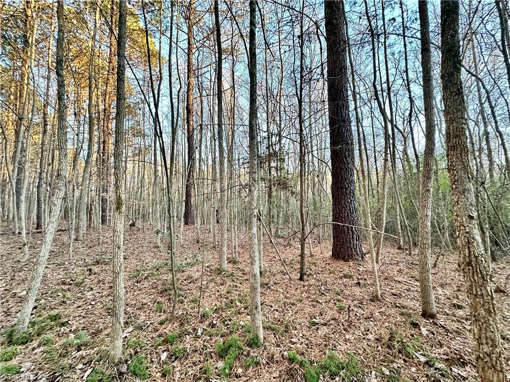 0 Farmstead Road Seagrove, NC 27341 - Photo 33 of 35