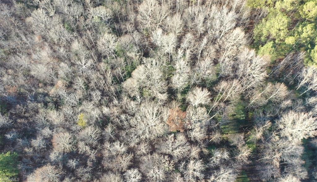 0 Farmstead Road Seagrove, NC 27341 - Photo 6 of 35