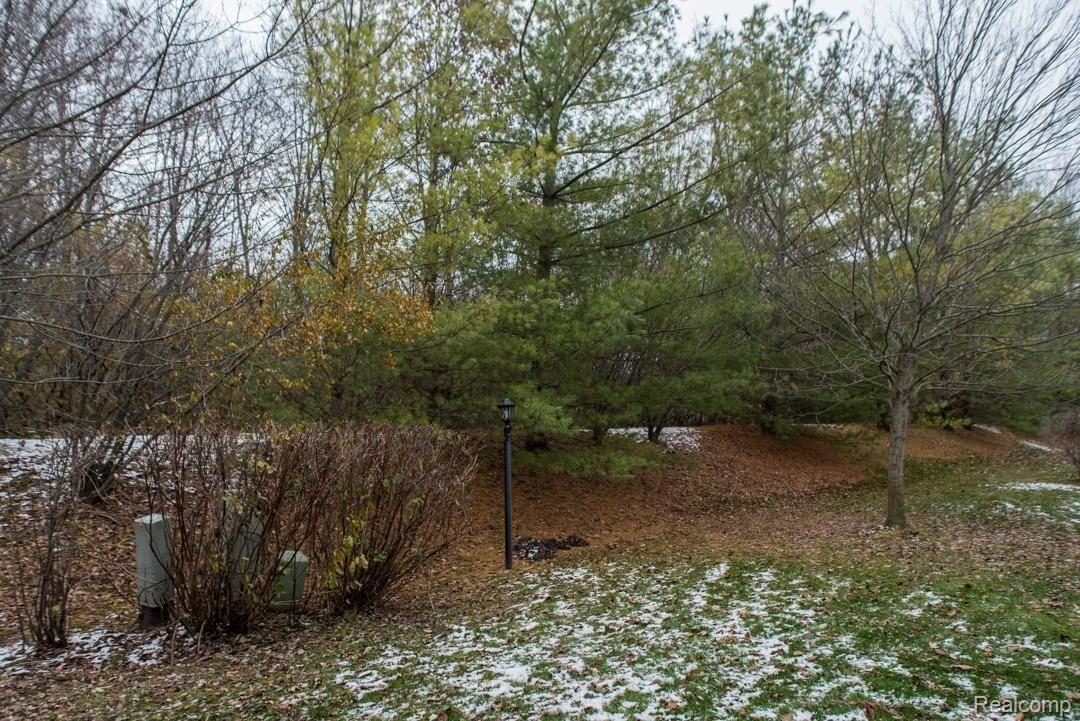 49041 Hawksburry Road Canton, MI 48188 - Photo 48 of 50 Vogel Team Hawksburry-48.jpg