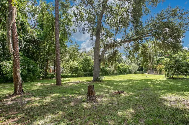 a big yard with lots of green space and trees