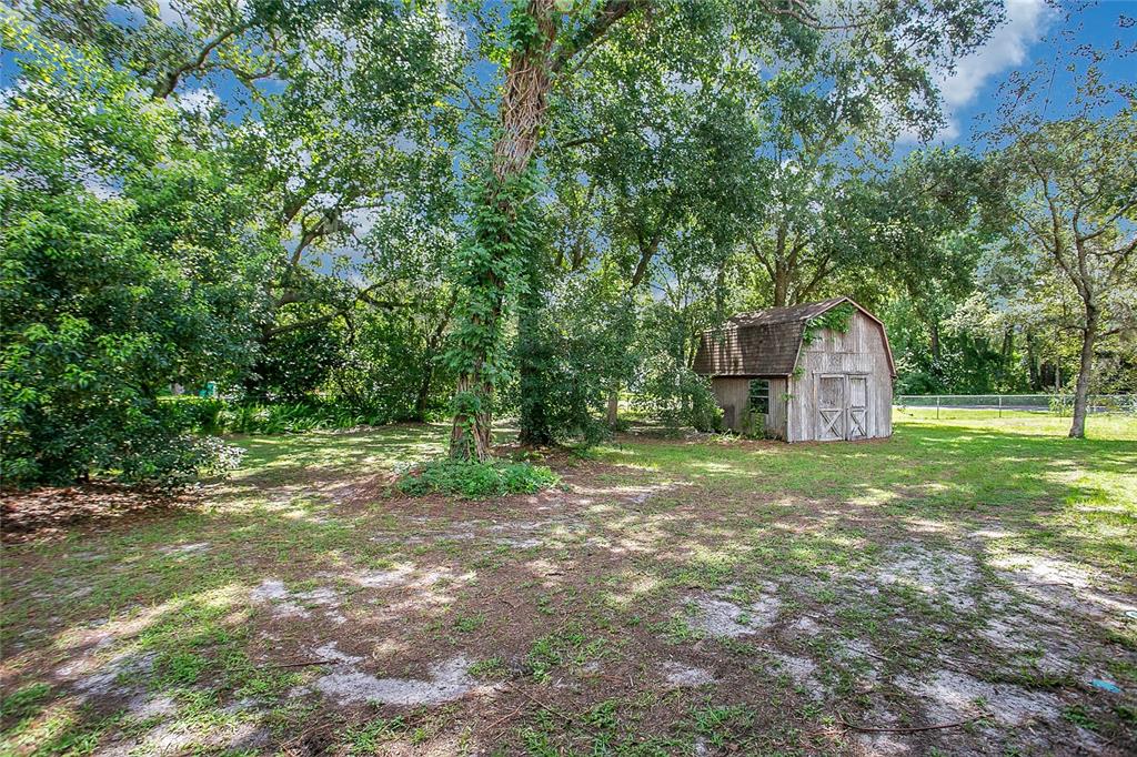 3629 Lake Buynak Road Windermere, FL 34786 - Photo 32 of 46