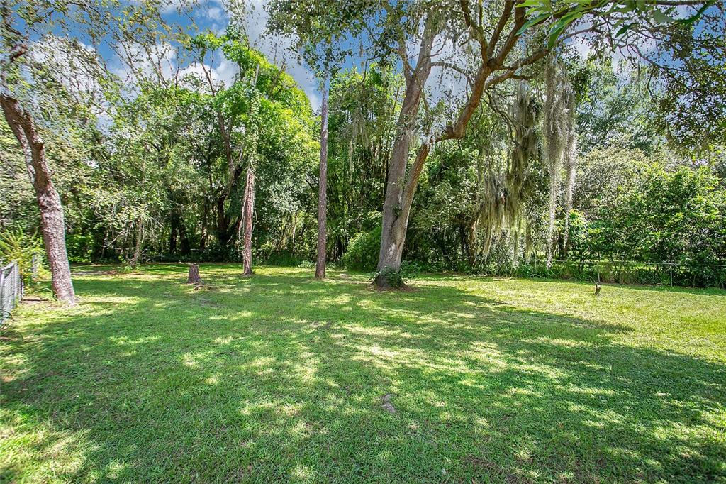 3629 Lake Buynak Road Windermere, FL 34786 - Photo 33 of 46
