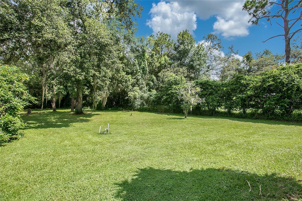 3629 Lake Buynak Road Windermere, FL 34786 - Photo 34 of 46