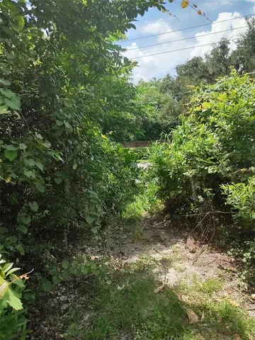 a view of a yard with plants and a bench