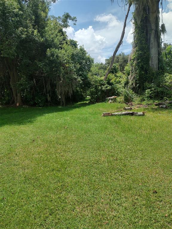 3629 Lake Buynak Road Windermere, FL 34786 - Photo 42 of 46