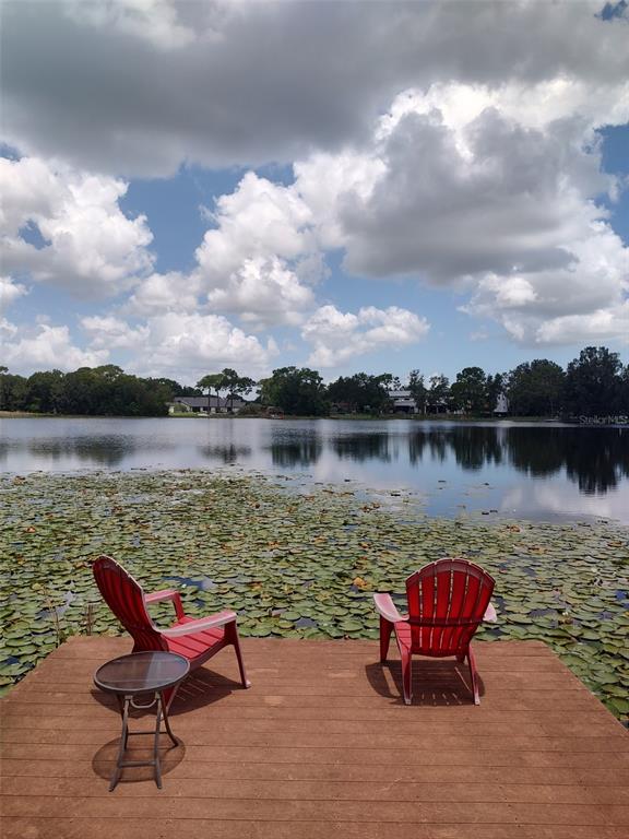 3629 Lake Buynak Road Windermere, FL 34786 - Photo 45 of 46