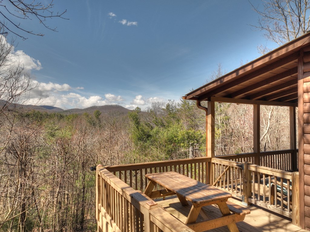 376 Bushy Head Road Cherry Log, GA 30522 - Photo 4 of 57