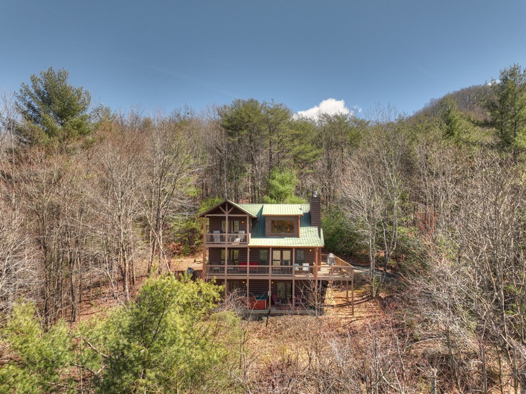 376 Bushy Head Road Cherry Log, GA 30522 - Photo 10 of 57