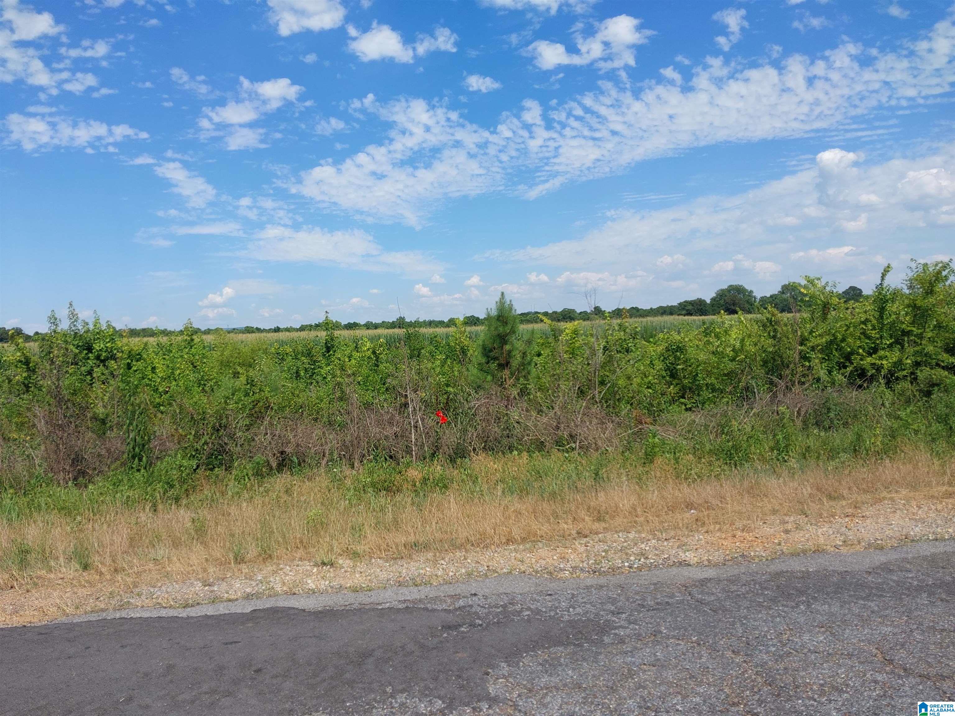 0 Airport Road Eastaboga, AL 36260 - Photo 3 of 3