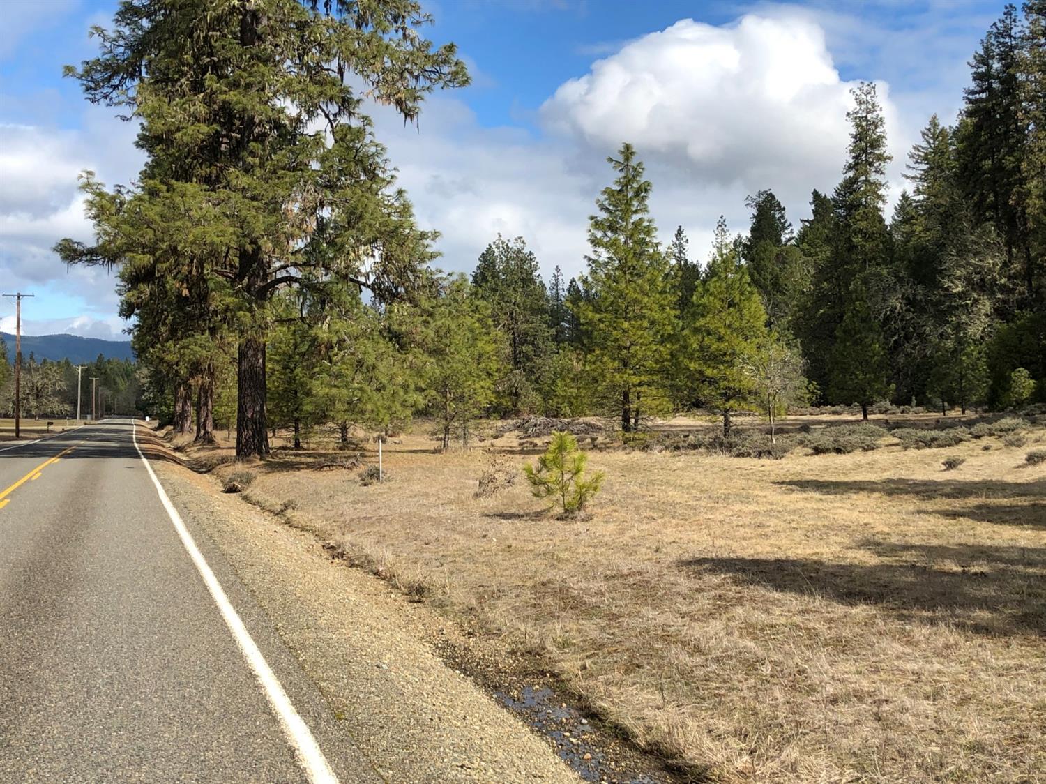 0 Dick George Road, Unit TL300 Cave Junction, OR 97523 - Photo 11 of 18 Additional Photo