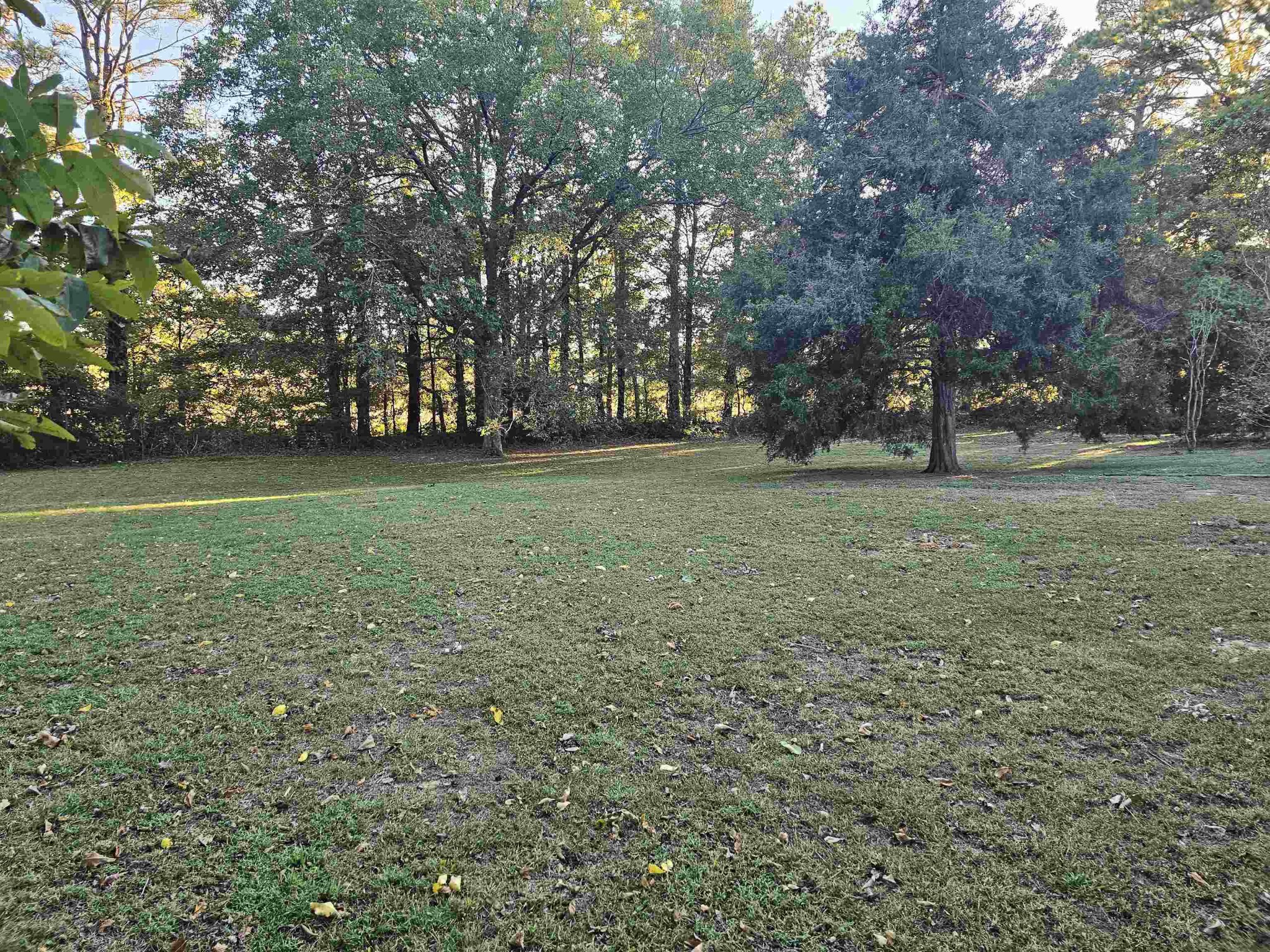 1728 Oil Mill Road Covington, TN 38019 - Photo 23 of 25 a view of a field with trees in the background