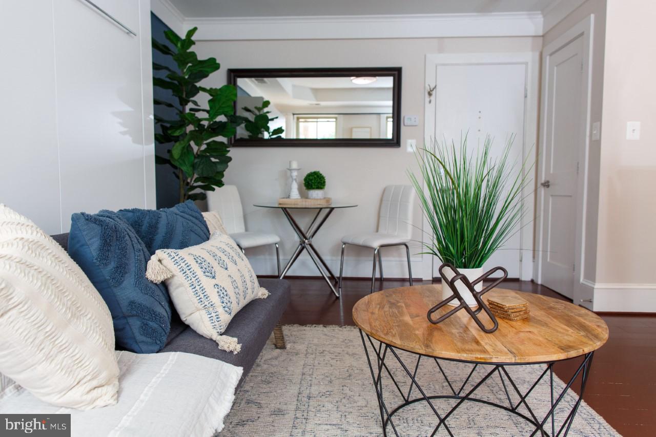 1451 Park Road Northwest, Unit 220 Washington, DC 20010 - Photo 9 of 30 a living room with furniture and a potted plant