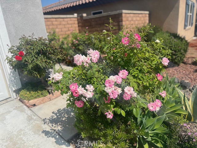 7561 Baerss Road Riverside, CA 92507 - Photo 6 of 24 FRONT YARD WITH FLOWERS AND BEAUTIFUL LANDSCAPING
