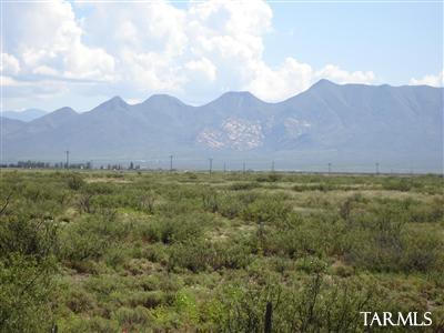 0 West Latimer Road South McNeal, AZ 85617 - Photo 4 of 4
