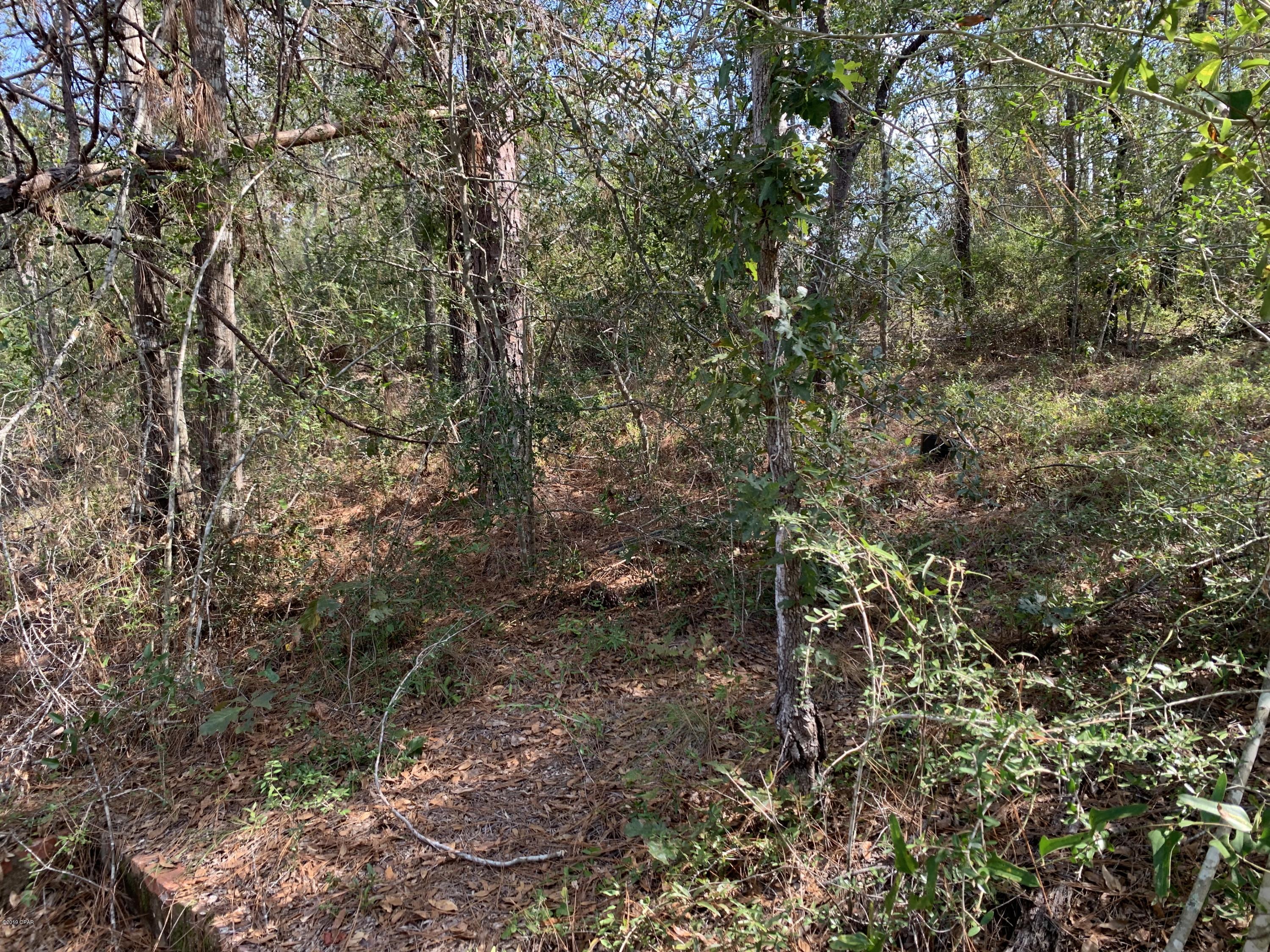 0 Pitts Road Fountain, FL 32438 - Photo 20 of 21 Gallery Image 20