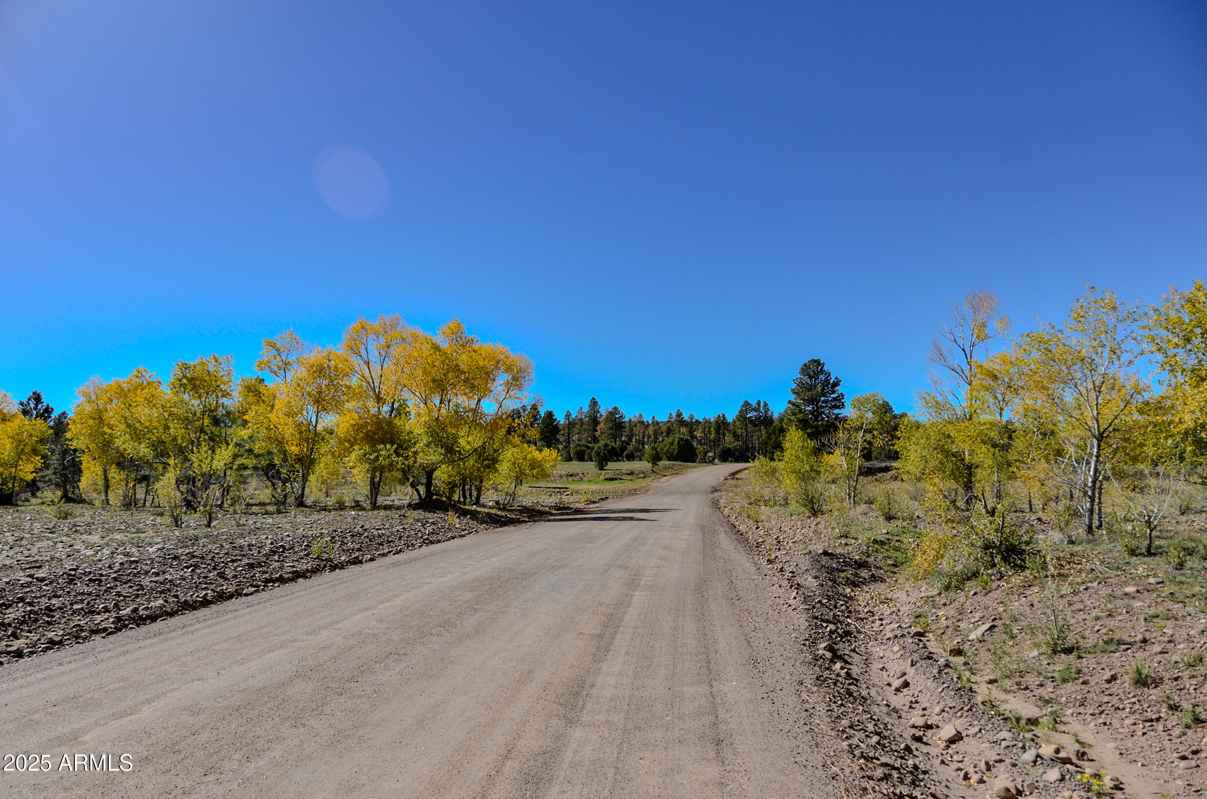 685 Kuhn Road Pinedale, AZ 85934 - Photo 65 of 74