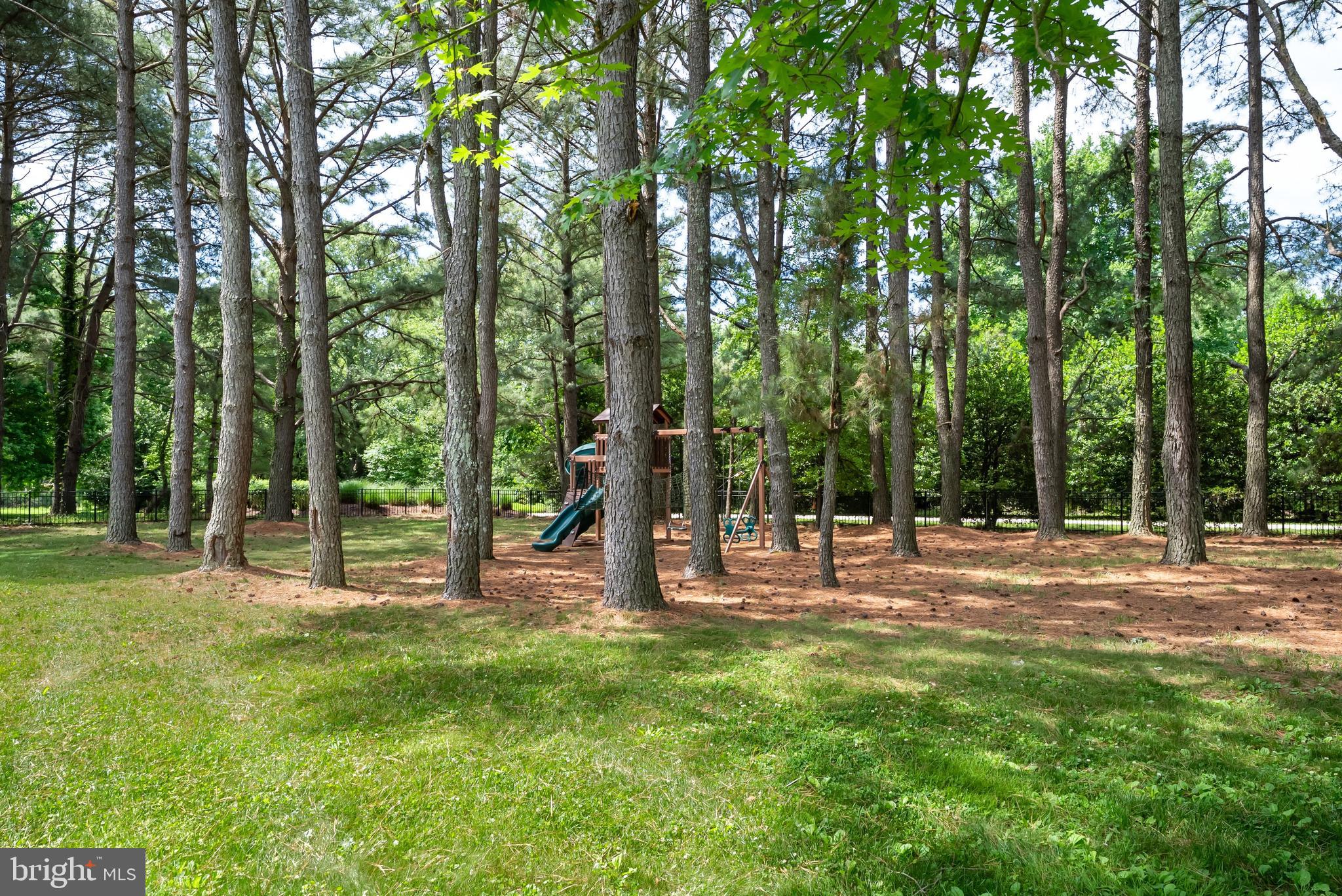 27939 Waverly Road Easton, MD 21601 - Photo 14 of 50