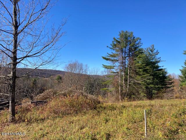 114 E Road Alford, MA 01266 - Photo 7 of 13 IMG_3498