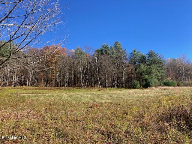 114 E Road Alford, MA 01266 - Photo 9 of 13 IMG_3495