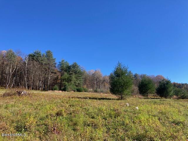 114 E Road Alford, MA 01266 - Photo 10 of 13 IMG_3494
