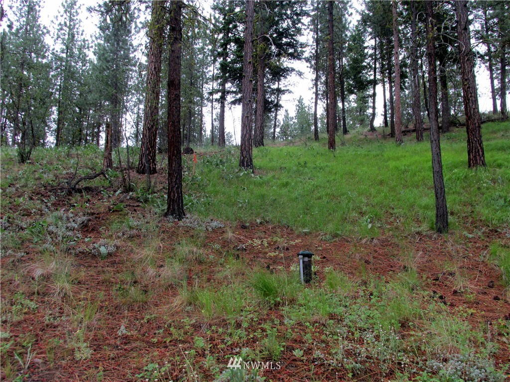 21 Balsamroot Road Winthrop, WA 98862 - Photo 11 of 23 Gallery Image 11
