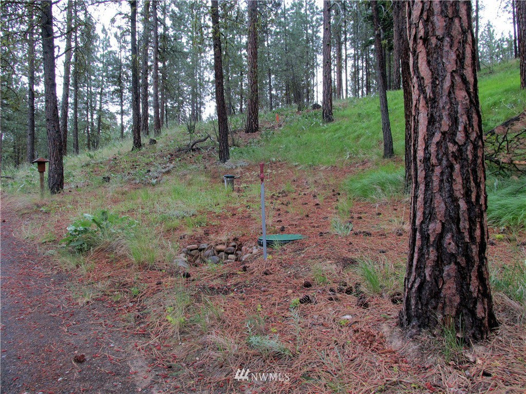 21 Balsamroot Road Winthrop, WA 98862 - Photo 13 of 23 Gallery Image 13