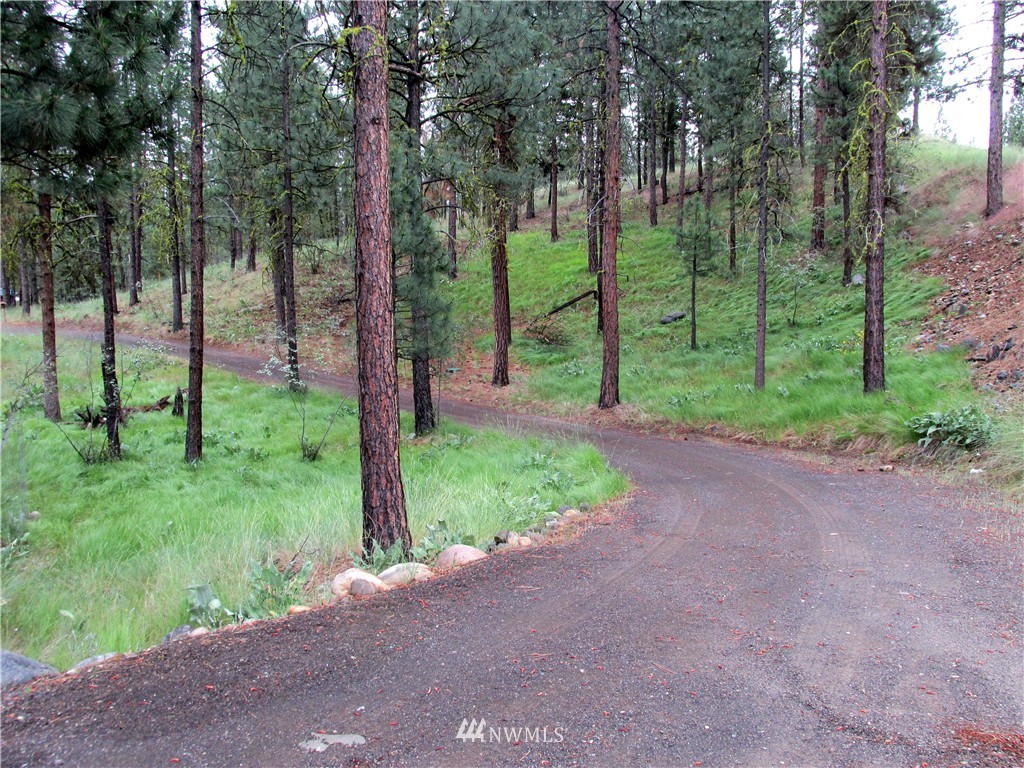 21 Balsamroot Road Winthrop, WA 98862 - Photo 14 of 23 Gallery Image 14