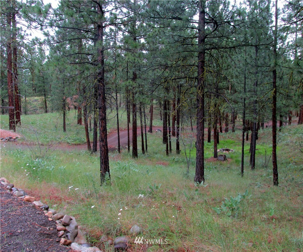 21 Balsamroot Road Winthrop, WA 98862 - Photo 15 of 23 Gallery Image 15