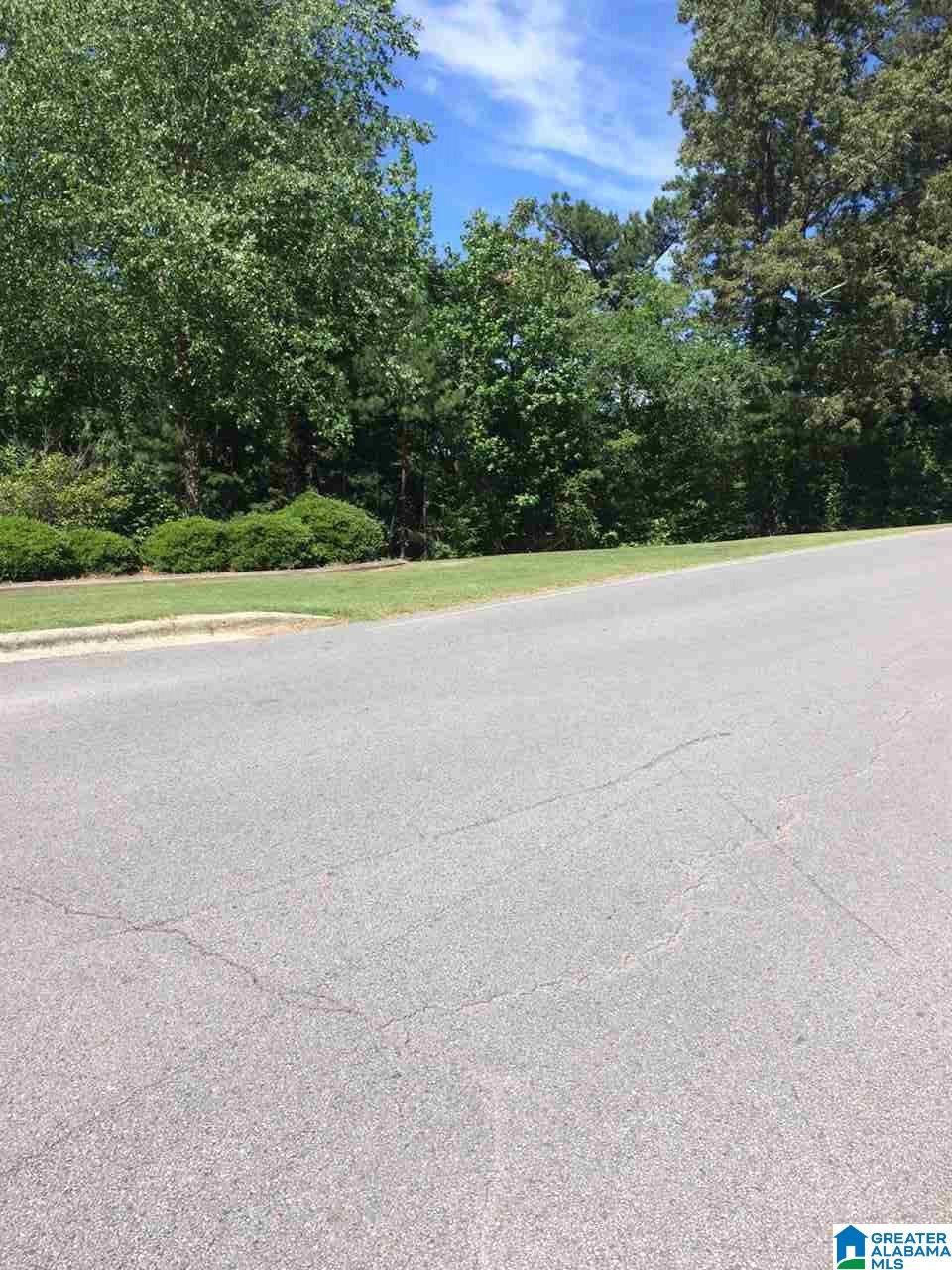 0 Azalea Hills Drive, Unit 6 Oneonta, AL 35121 - Photo 3 of 3