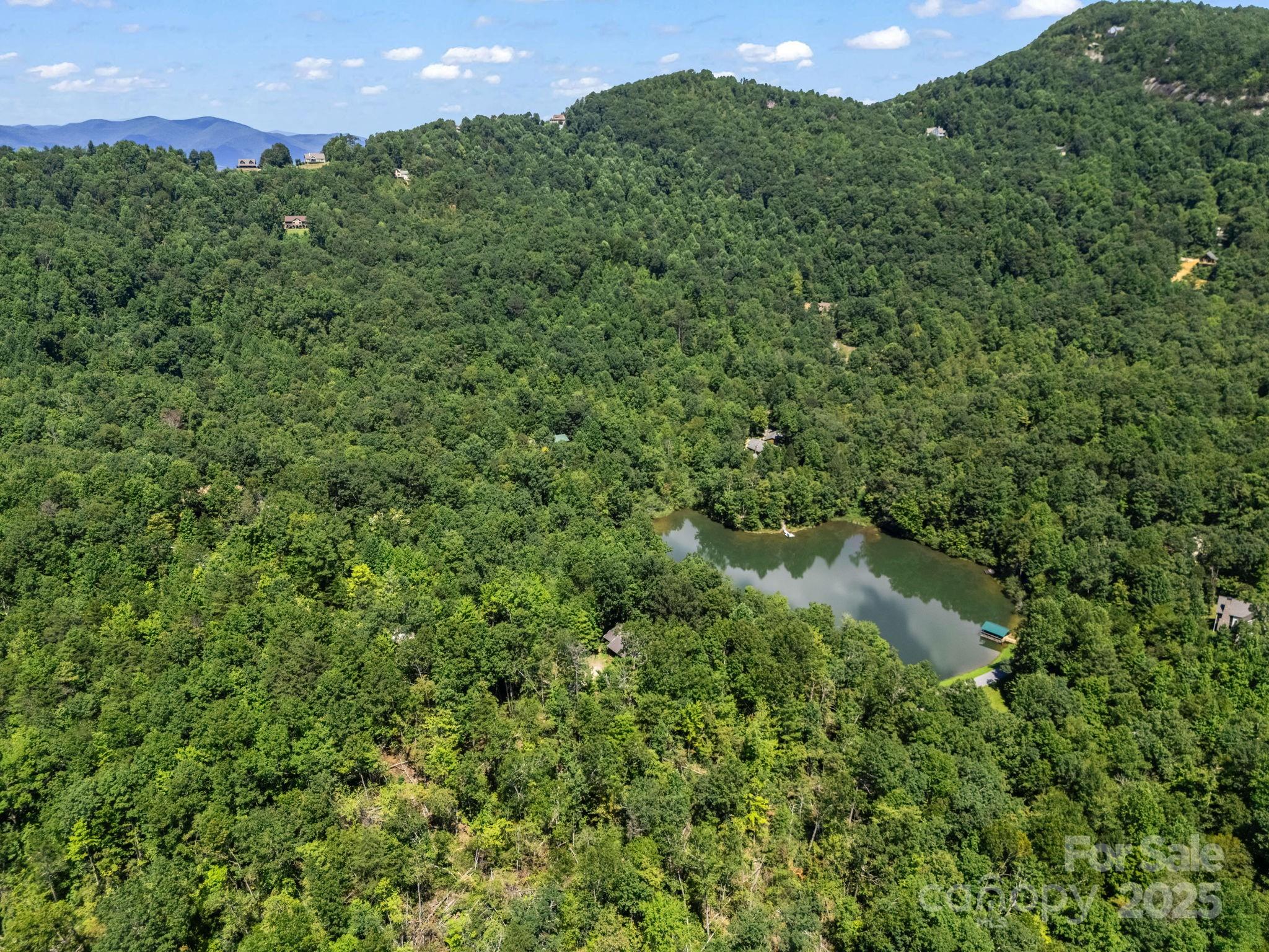288 Long Ridge Road Old Fort, NC 28762 - Photo 33 of 48
