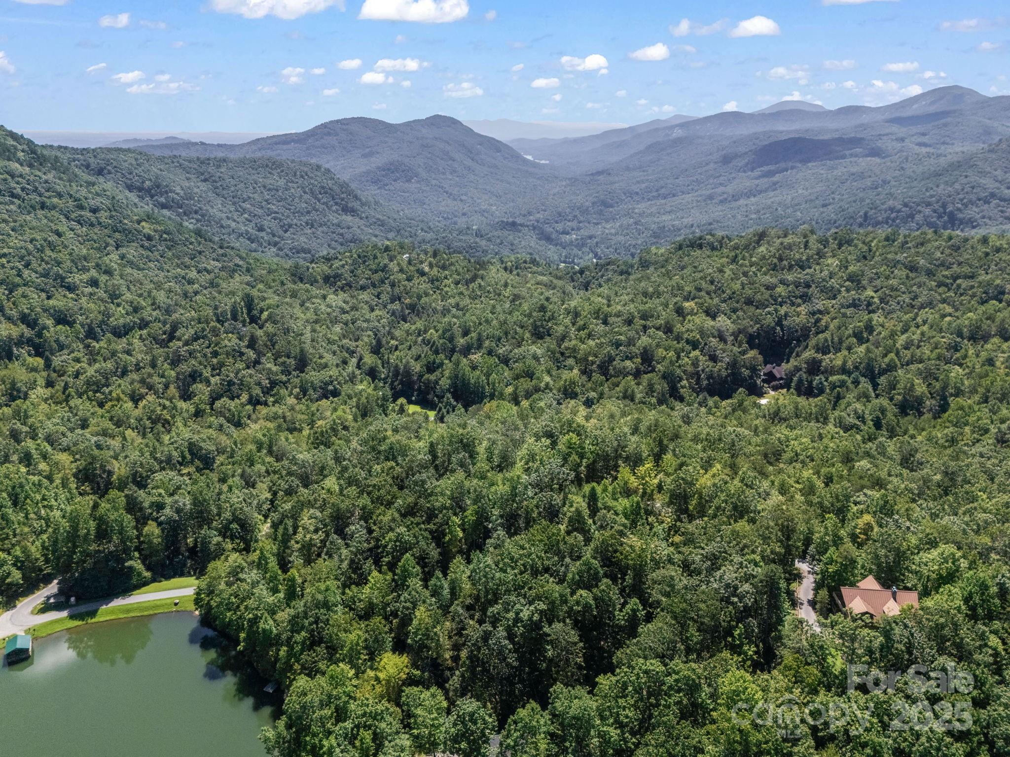 288 Long Ridge Road Old Fort, NC 28762 - Photo 35 of 48