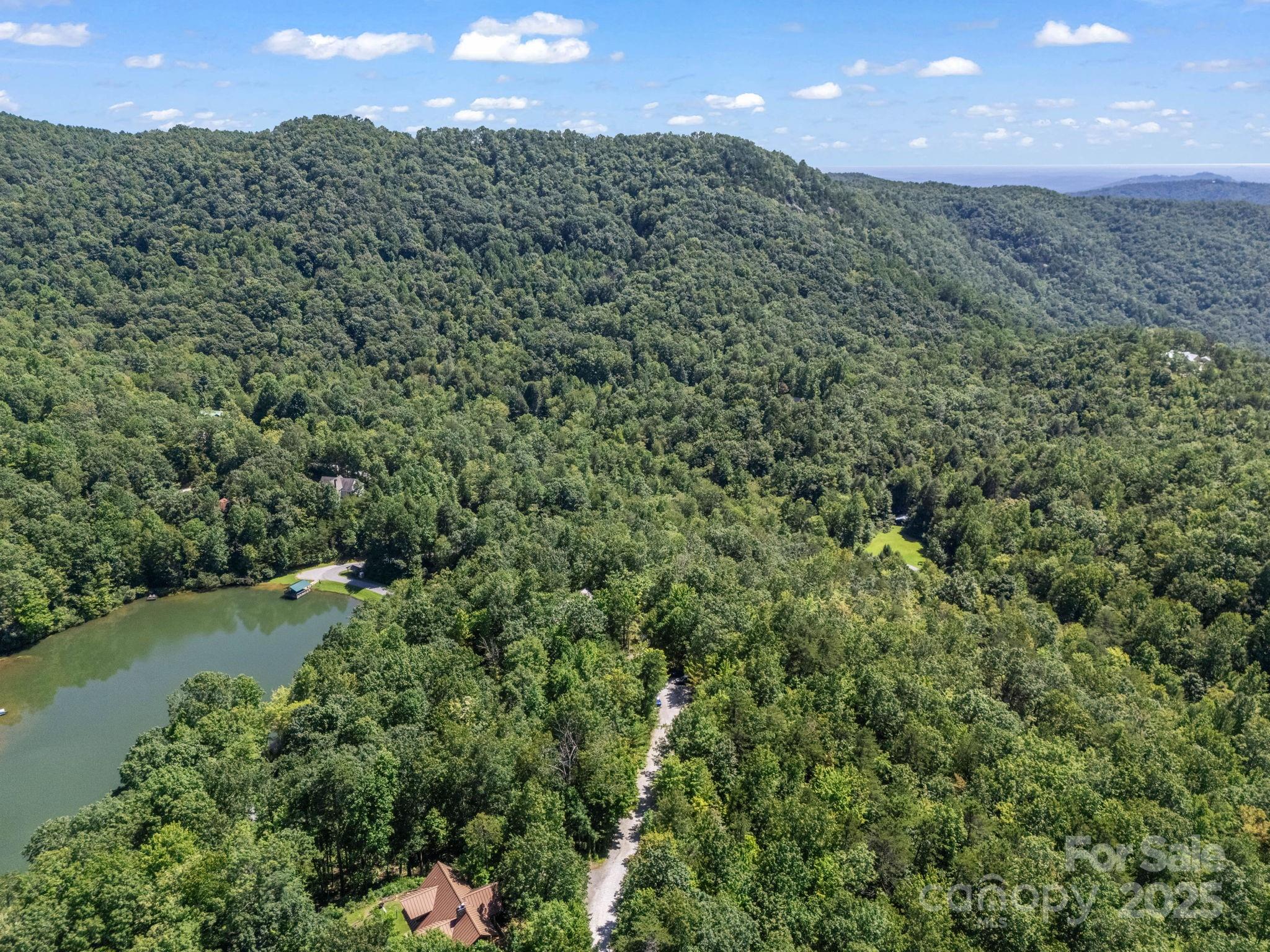 288 Long Ridge Road Old Fort, NC 28762 - Photo 36 of 48