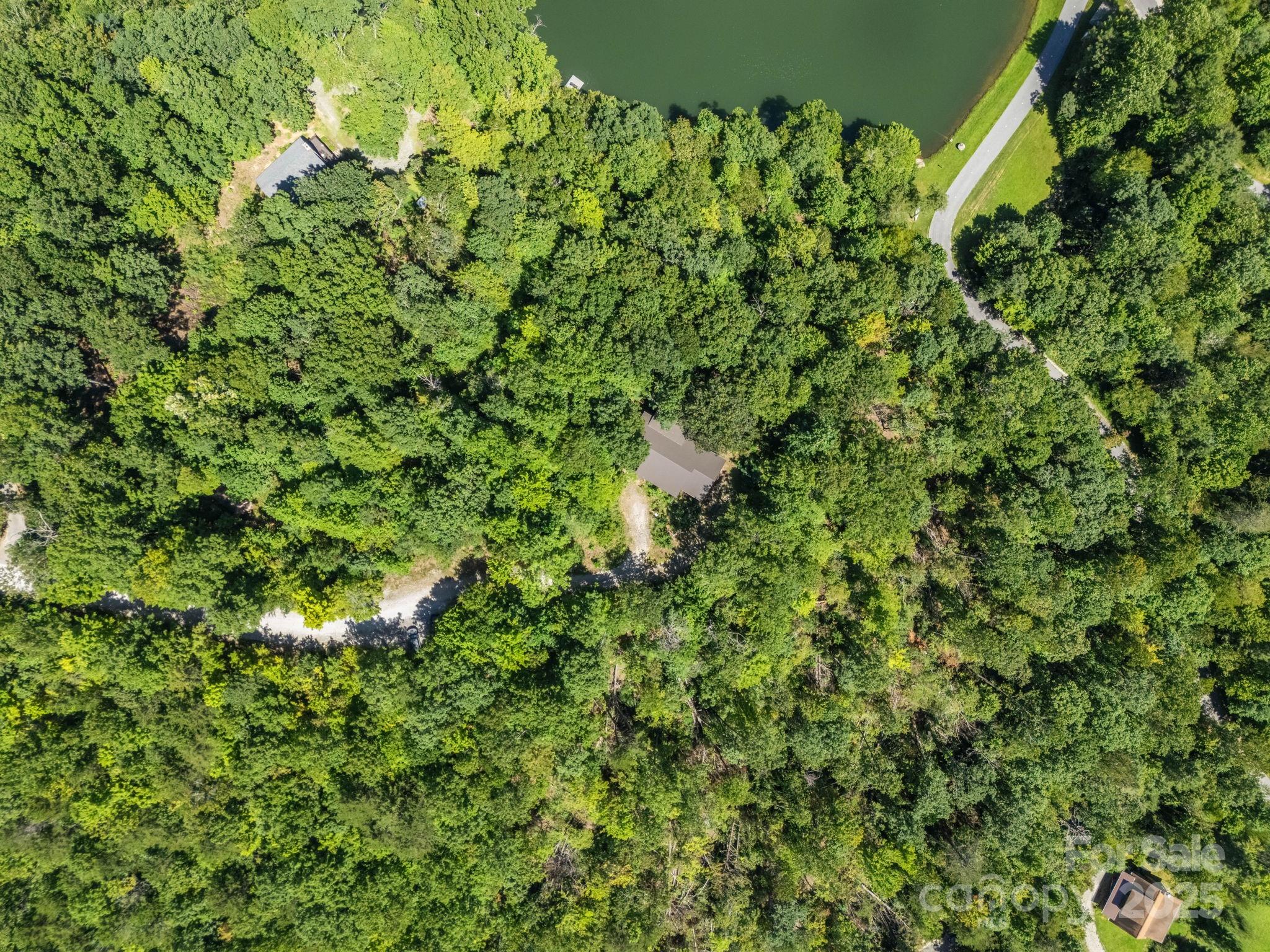 288 Long Ridge Road Old Fort, NC 28762 - Photo 38 of 48