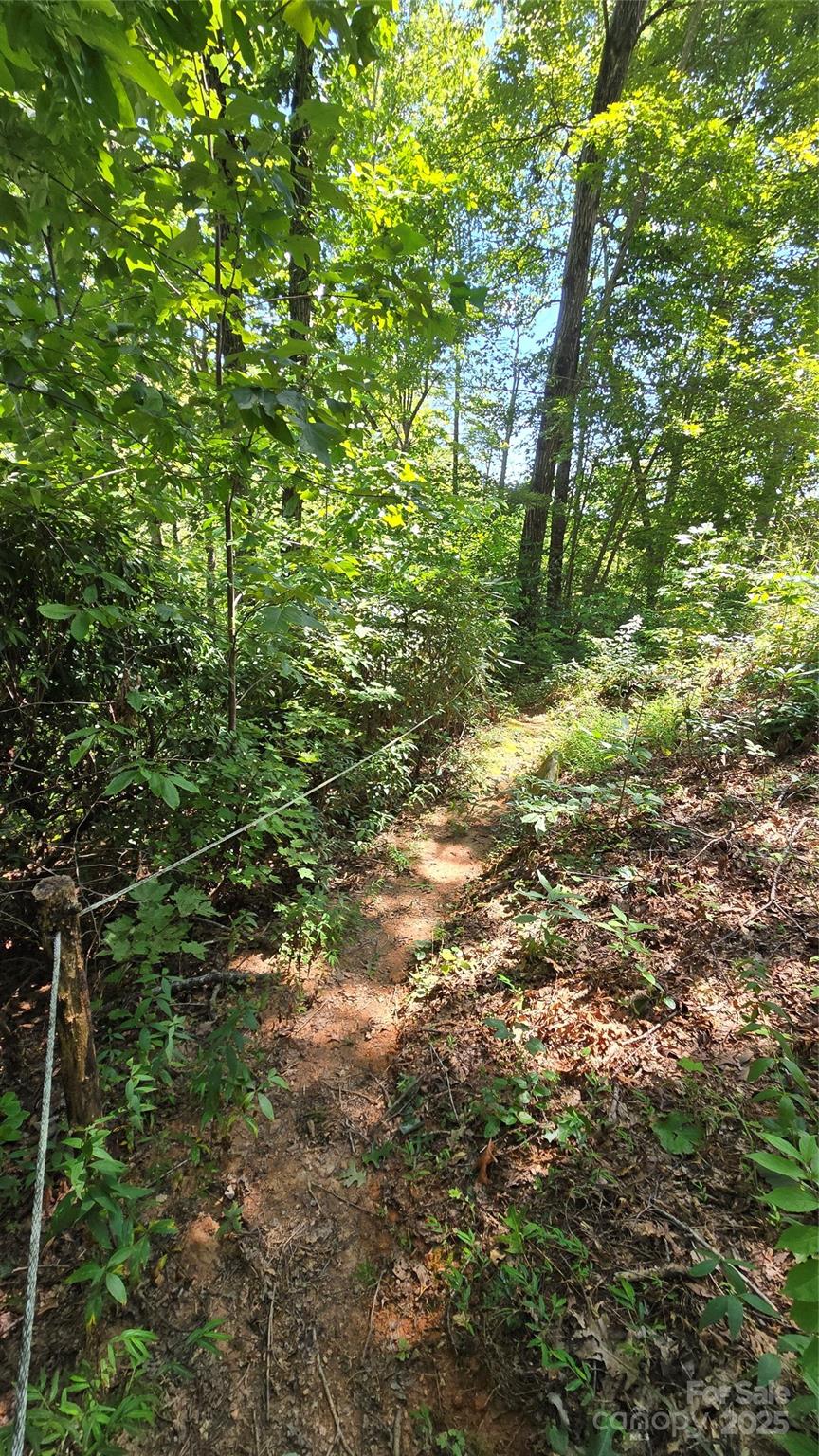 288 Long Ridge Road Old Fort, NC 28762 - Photo 42 of 48