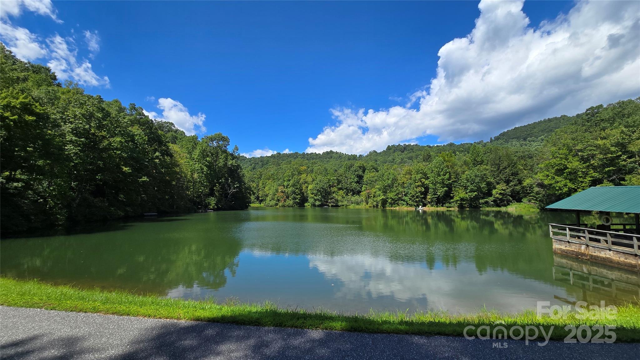 288 Long Ridge Road Old Fort, NC 28762 - Photo 44 of 48