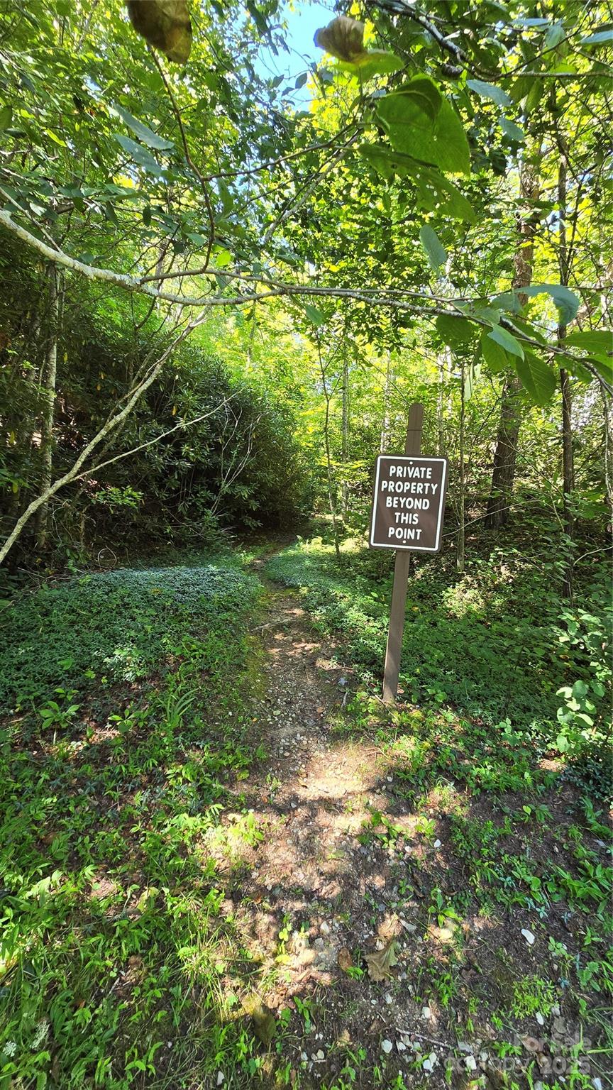 288 Long Ridge Road Old Fort, NC 28762 - Photo 47 of 48