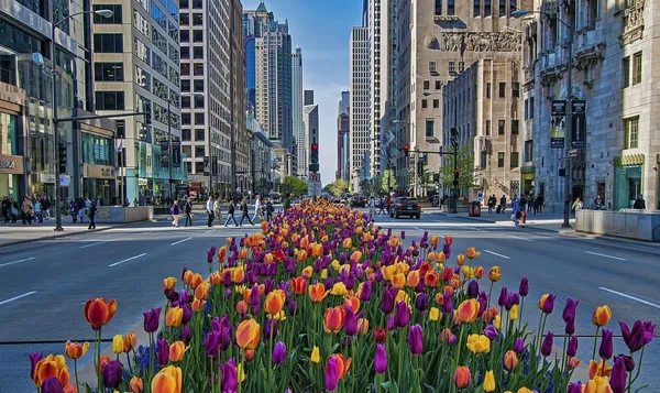 $1,450,000 | 161 East Chicago Avenue, Unit 45FG, Chicago, IL 60611