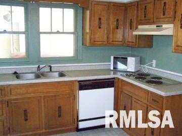 320 South Elm Street Flora, IL 62839 - Photo 3 of 10 Gallery Image 3