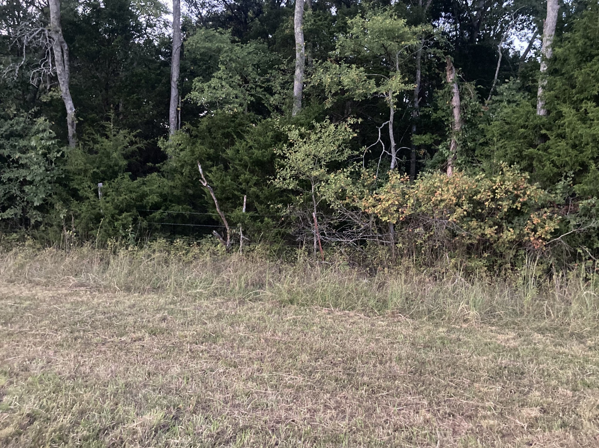 0 Old Jackson Ridge Road North Rockvale, TN 37153 - Photo 3 of 5 Gallery Image 3